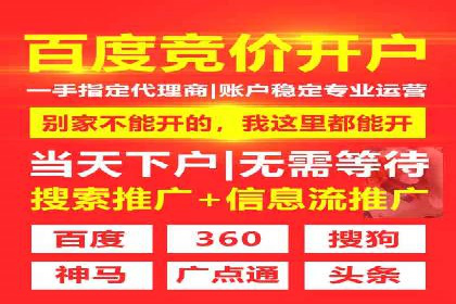 百度SEO推广策略案例：一家公司的成功转型之路